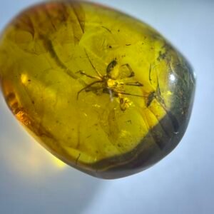 Thomisidae ，Burmese amber, 100% natural amber, insect amber