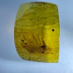 Avian Feather ,Burmese amber, 100% natural amber, insect amber