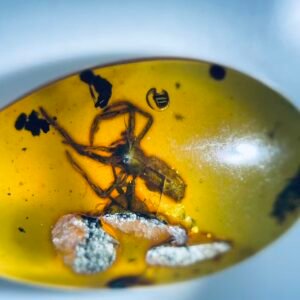 Clubionidae，Burmese amber, 100% natural amber, insect amber