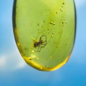 Clubionidae ，Burmese amber, 100% natural amber, insect amber