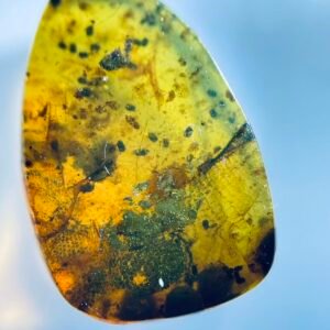 Lizard residual limb & skin ,Burmese amber, 100% natural amber, insect amber